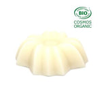 Après-shampoing démêlant BIO - Agrumes - VRAC - Bewell