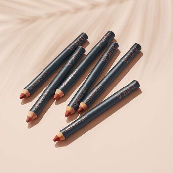INIKA Crayon à Lèvres Bio Certifié - Pink Nude 3g - Bewell