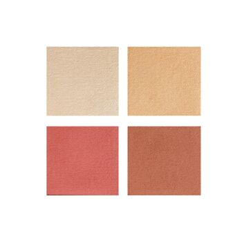 Palette blush illuminateur lab vegetal 001 les essentiels - Bewell