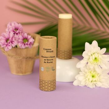 Baume à lèvres au beurre de karité - V2 - Bewell