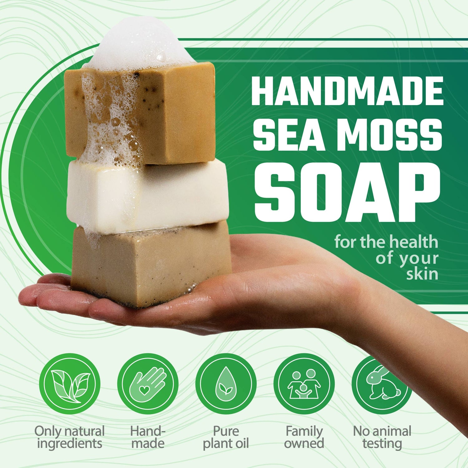 True Sea Moss - Lot de 2 savons de mousse de mer : Savon à l'Avoine et au Miel et Savon au Café, Vanille et Noix de Coco - Bewell