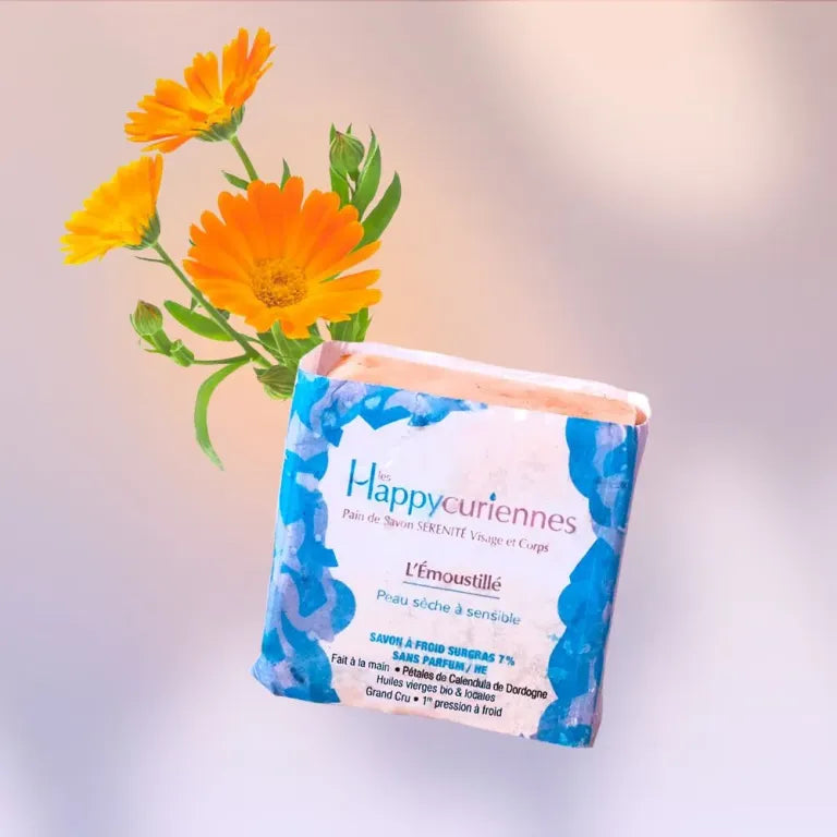 Box of 4 Savre Les Happycuriennes