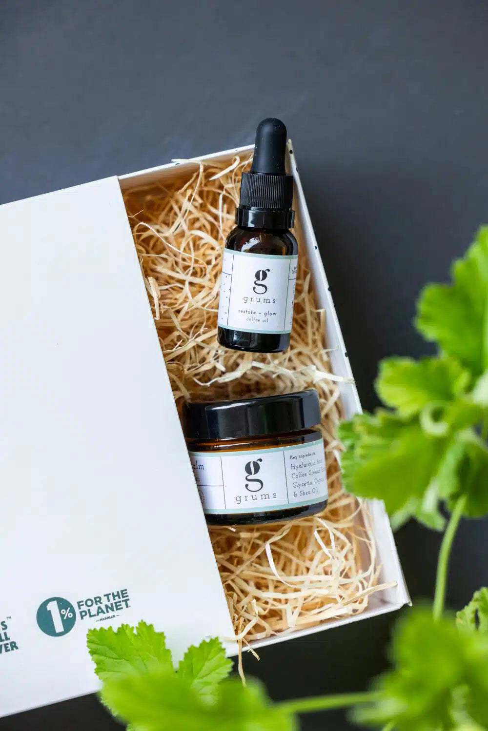 Grums Le Kit Hydra Glow - Bewell