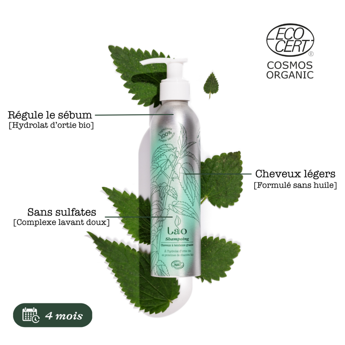 Shampoing Purifiant - Bewell