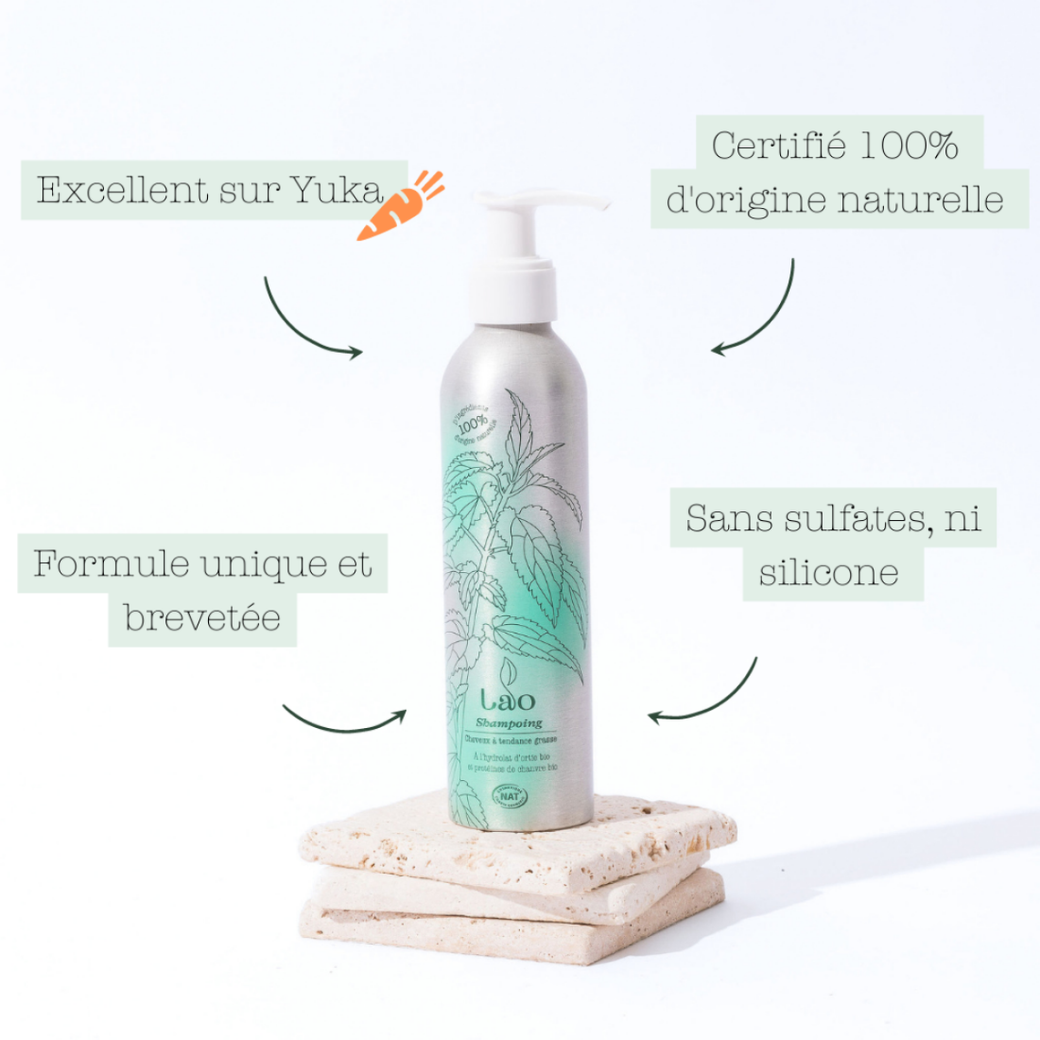 Shampoing Purifiant - Bewell