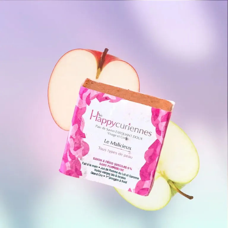 Box of 4 Savre Les Happycuriennes