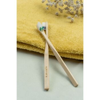 Brosse à dents en bois Adulte Apimani