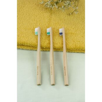 Brosse à dents en bois Adulte Apimani