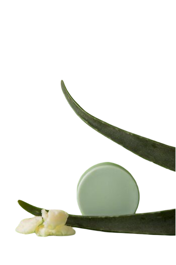 Barre après-shampooing Aloe Vera Love