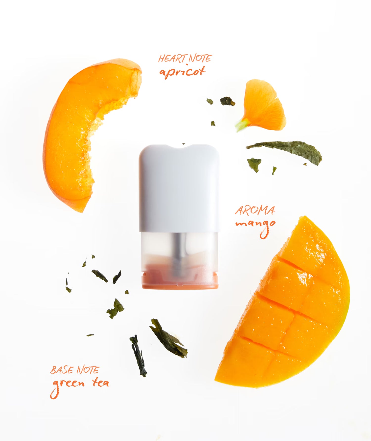 Recharge Pod - Focus Arôme de Mangue Zéro Nicotine