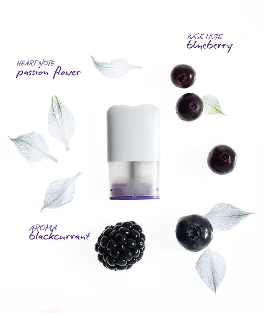 Recharge Pod - Dream Arôme de Myrtille Zéro Nicotine