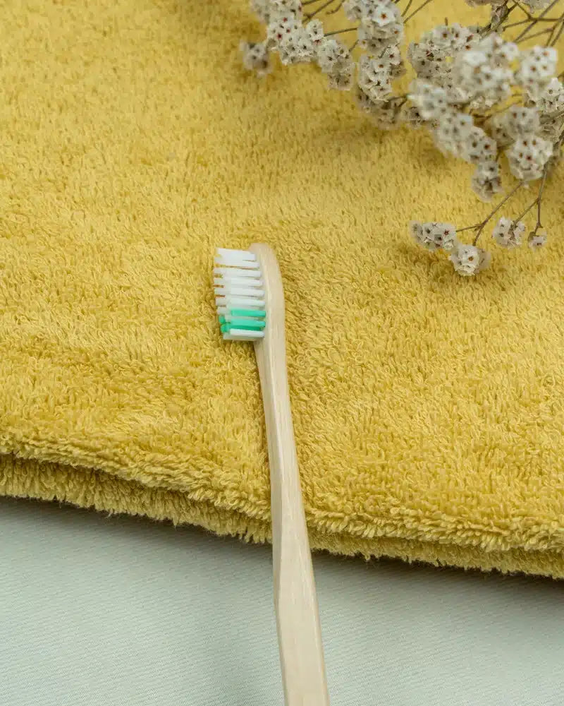 Brosse à dents en bois Adulte Apimani