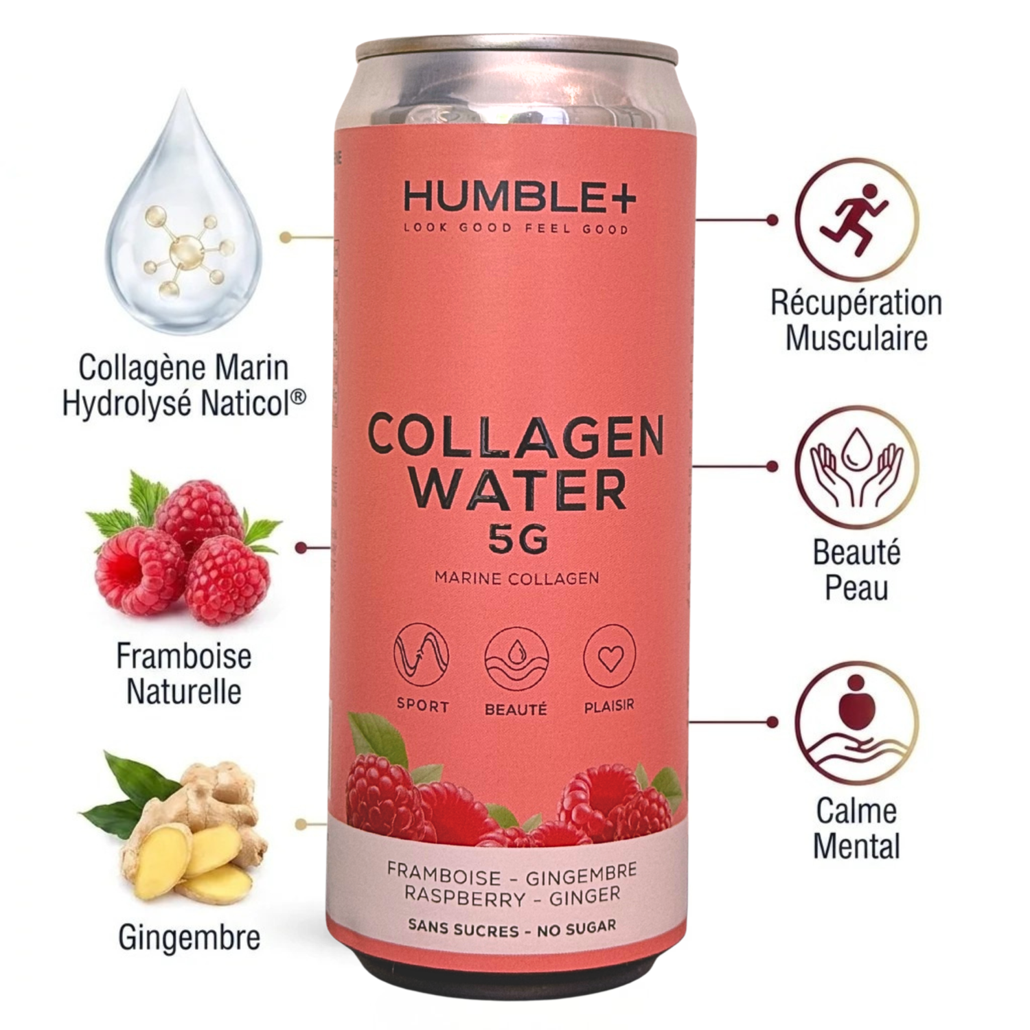 Boisson au Collagène Marin Framboise & Gingembre Humble+