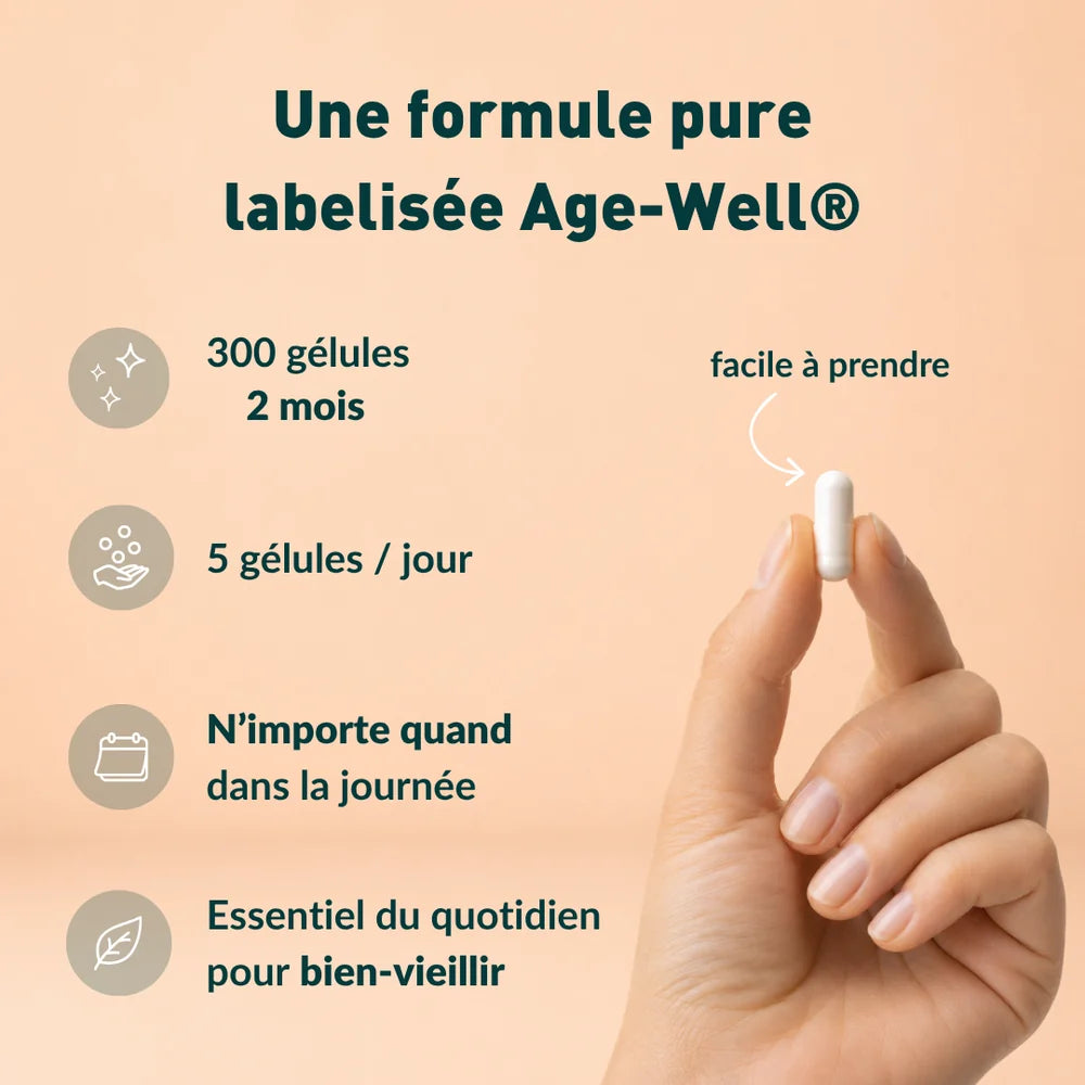 Créatine+ AGE-WELL® gélules