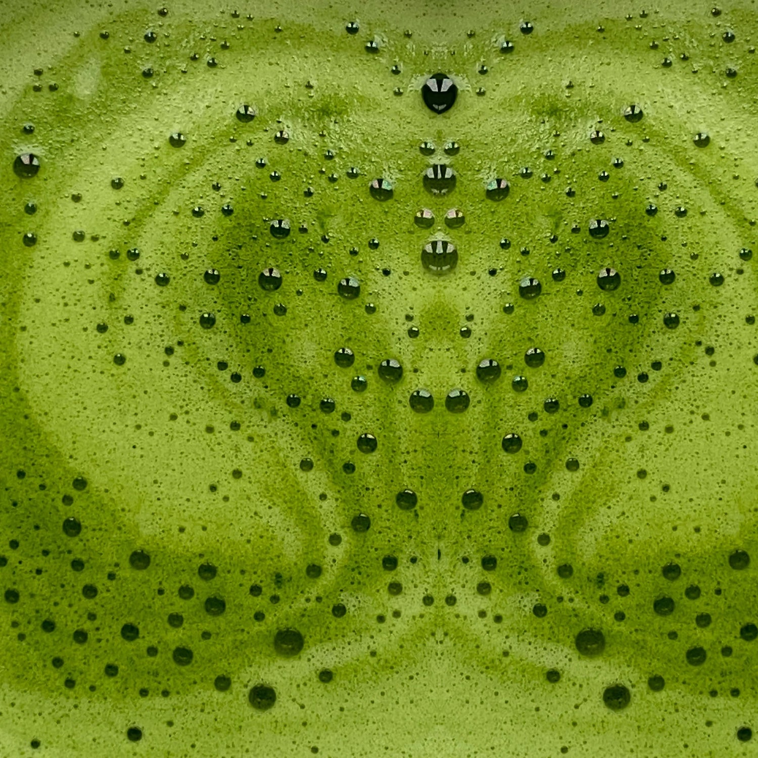 Matcha latte essentiel activateur de métabolisme
