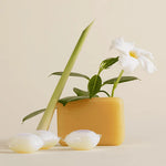 Lessive Savon végétal x20 - Bewell